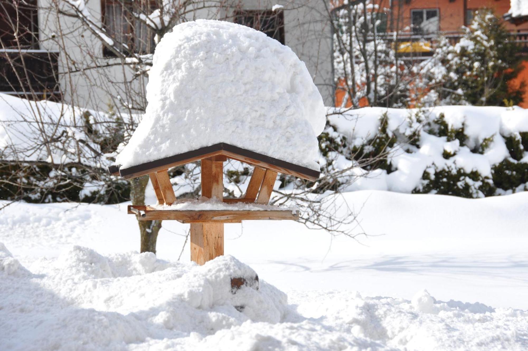 Pension Schmidinger Kitzbühel Esterno foto